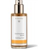 Lozione Purificante - 100 ml - Dr. Hauschka 