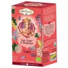 Tisana Ayurvedica I am -16 filtri per 2 g (32 g) - Shoti Maa